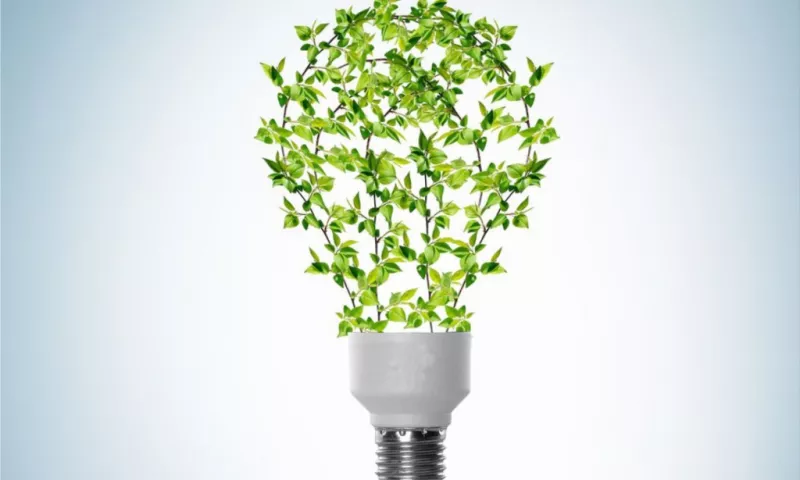 The benefits of green electricity are numerous