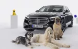 Mercedes-Benz Unveils MBUX Bark Assist: A Canine Co-Pilot's Dream Come True