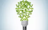 The benefits of green electricity are numerous
